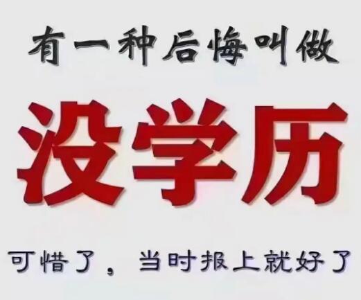 寧夏醫科大學成人教育專本科學歷成考函授招生簡章